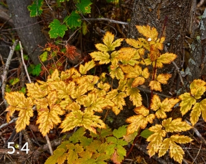Rocky Mountain National Park 503097