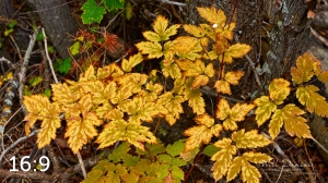 Rocky Mountain National Park 503097