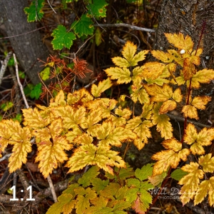 Rocky Mountain National Park 503097