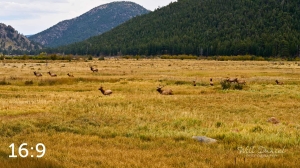 Rocky Mountain National Park 503143