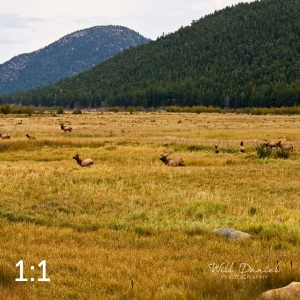 Rocky Mountain National Park 503143