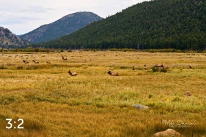 Rocky Mountain National Park 503143