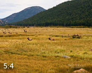 Rocky Mountain National Park 503143