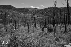 Rocky Mountain National Park 503229BW