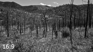Rocky Mountain National Park 503229BW
