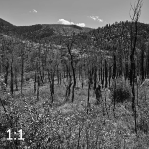Rocky Mountain National Park 503229BW