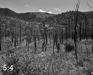 Rocky Mountain National Park 503229BW