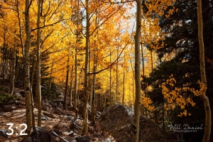 Rocky Mountain National Park 59596