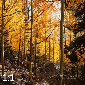 Rocky Mountain National Park 59596