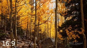 Rocky Mountain National Park 59596