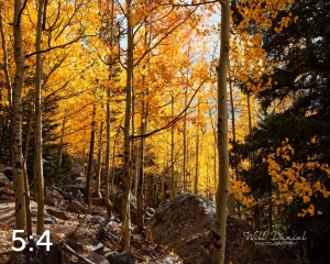 Rocky Mountain National Park 59596