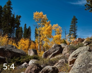 Rocky Mountain National Park 510853