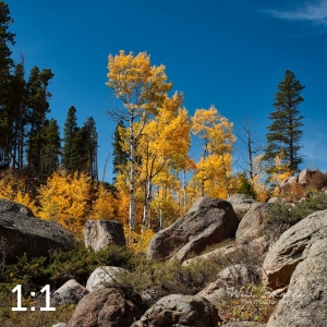 Rocky Mountain National Park 510853