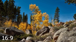Rocky Mountain National Park 510853