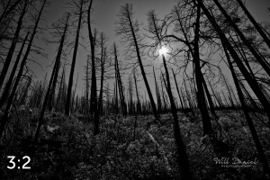 Rocky Mountain National Park 503257BW