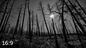 Rocky Mountain National Park 503257BW