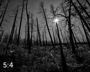Rocky Mountain National Park 503257BW