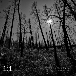 Rocky Mountain National Park 503257BW