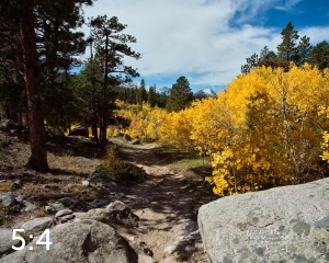 Rocky Mountain National Park 510633