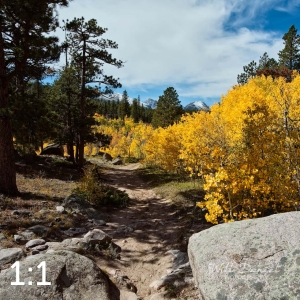 Rocky Mountain National Park 510633