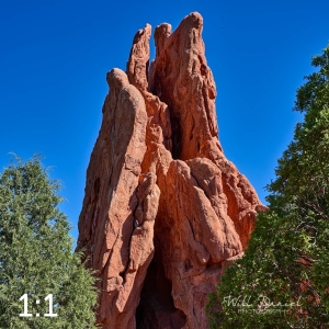 Garden of the Gods 5574