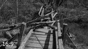 Beaver Lake Trail 81BW