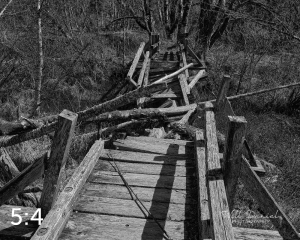 Beaver Lake Trail 81BW