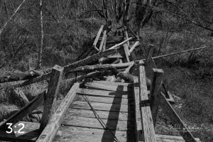 Beaver Lake Trail 81BW