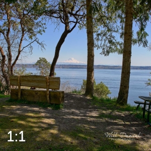 Maury Island Marine Park 20