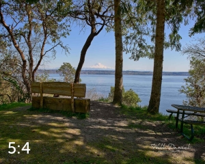 Maury Island Marine Park 20