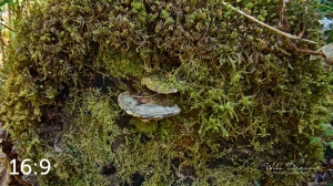 Rockport State Park 175