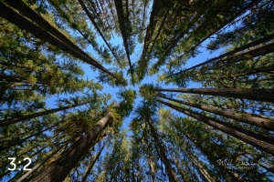 Beaver Lake Trail 98