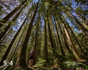 Rockport State Park 205