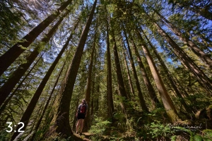 Rockport State Park 205