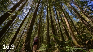 Rockport State Park 205