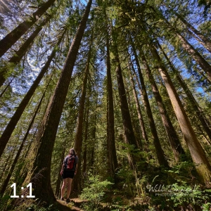 Rockport State Park 205