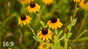 Lake Wanahoo Trail 720724