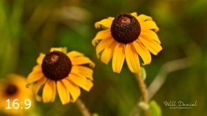 Lake Wanahoo Trail 720732