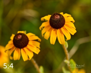 Lake Wanahoo Trail 720732