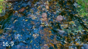 Rocky Mountain National Park 711090-S1