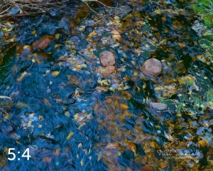 Rocky Mountain National Park 711090-S1