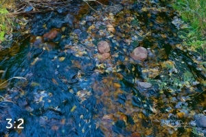 Rocky Mountain National Park 711090-S1