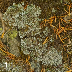 Rocky Mountain National Park 711137-G3