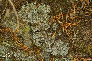 Rocky Mountain National Park 711137-G3