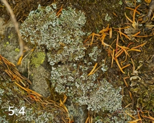 Rocky Mountain National Park 711137-G3