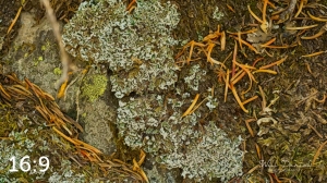 Rocky Mountain National Park 711137-G3