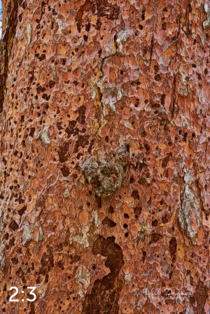 Rocky Mountain National Park 711141-G2