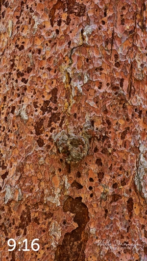 Rocky Mountain National Park 711141-G2