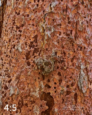 Rocky Mountain National Park 711141-G2