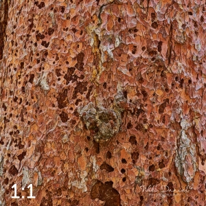 Rocky Mountain National Park 711141-G2